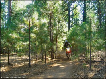 Honda CRF Dirt Bike at Gold Note Trails