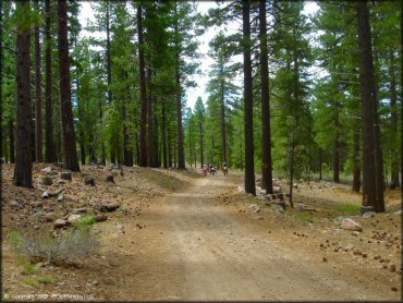 Honda CRF Dirtbike at Verdi Peak OHV Trail