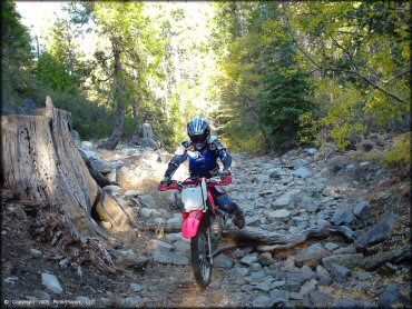 Honda CRF Dirt Bike at Indian Springs Trail