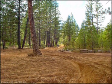 Honda CRF Dirtbike at Prosser Hill OHV Area Trail