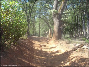 Example of terrain at Penny Pines Trail