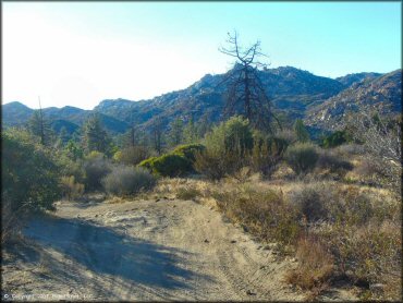 Scenic view at Lake Arrowhead Trail