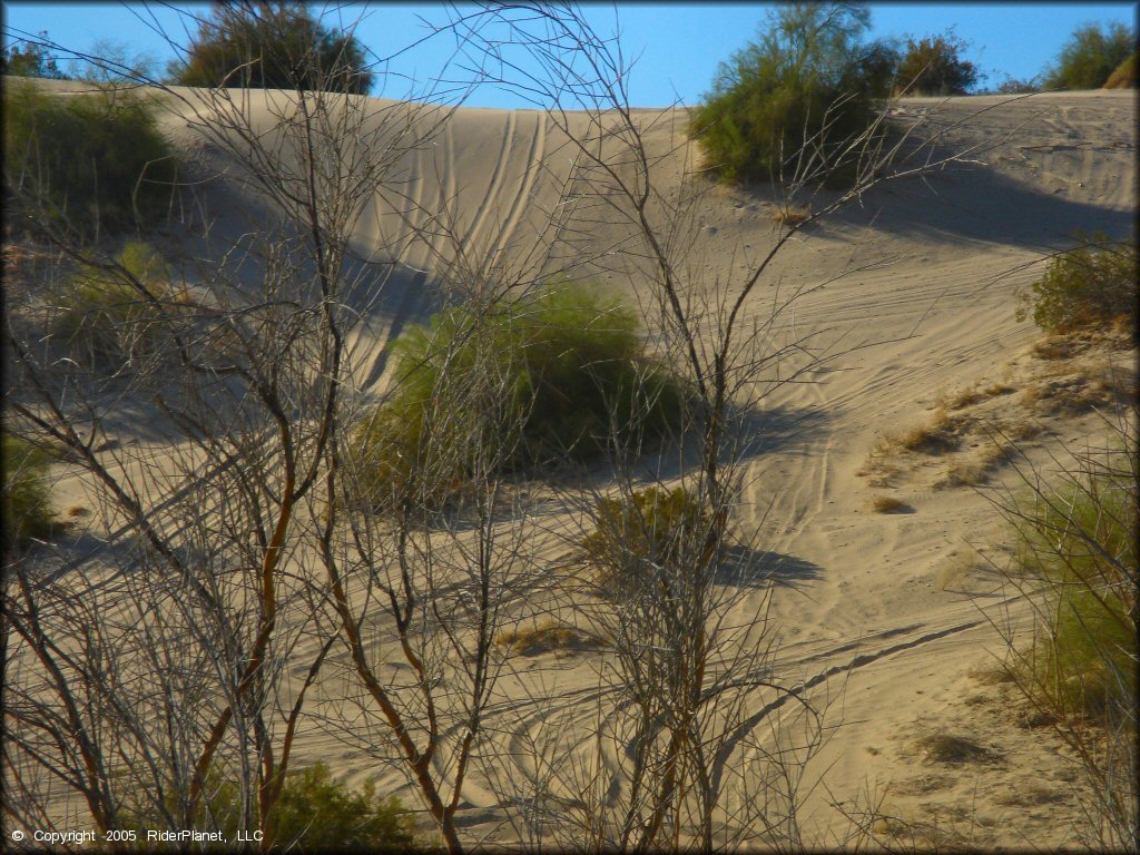 Terrain example at Copper Basin Dunes OHV Area