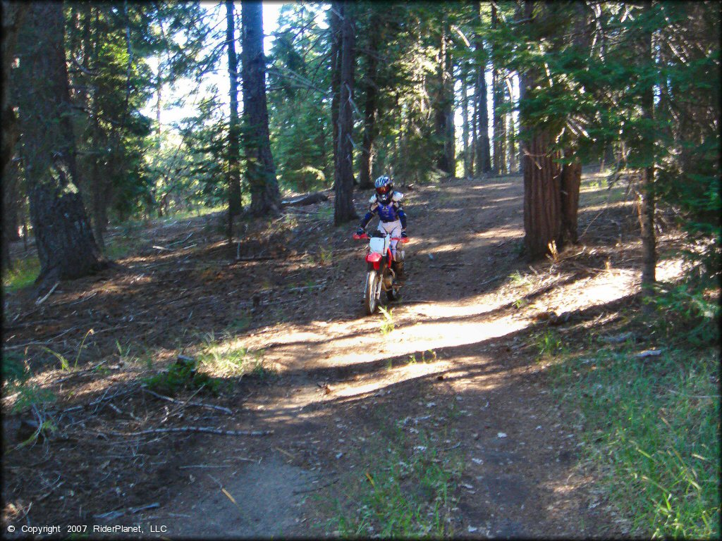 Girl on a Honda CRF Dirtbike at Pilot Creek OHV Trails