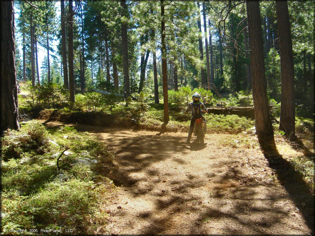 Honda CRF Dirt Bike at Interface Recreation Trails