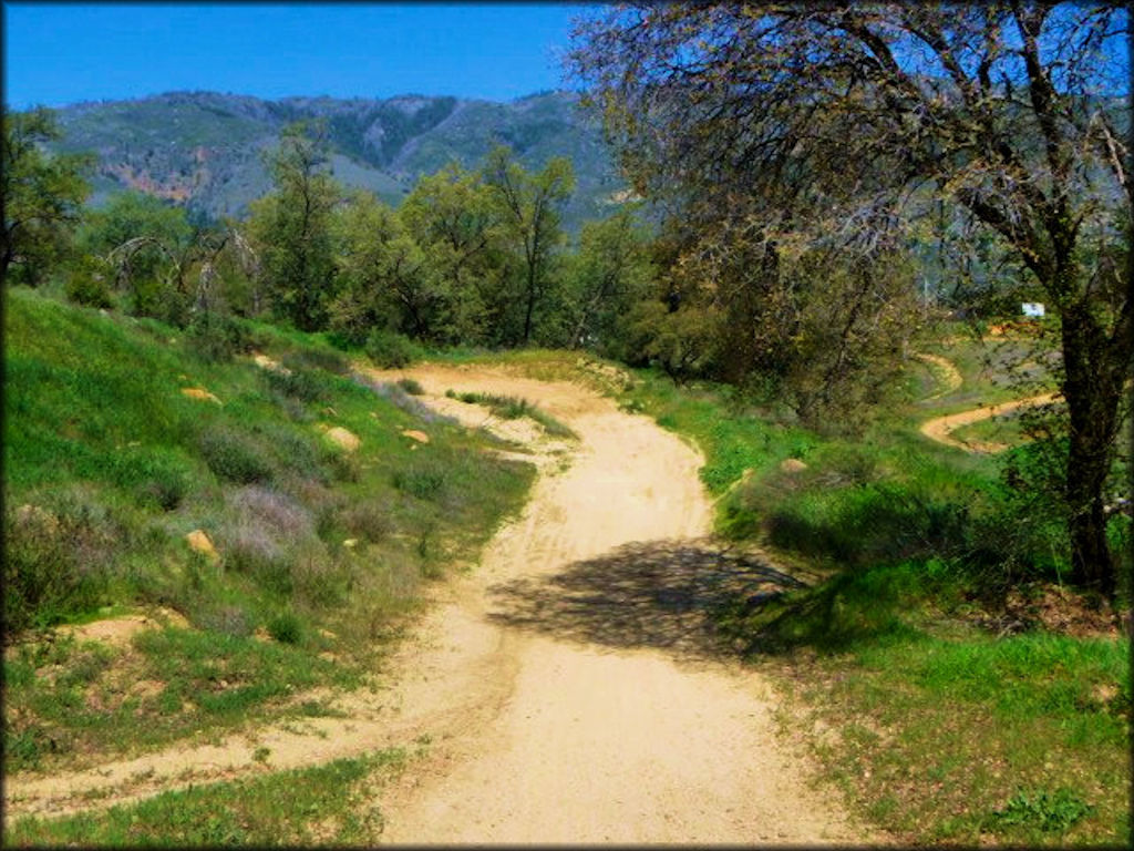 View of a motocross track with hard packed sections.