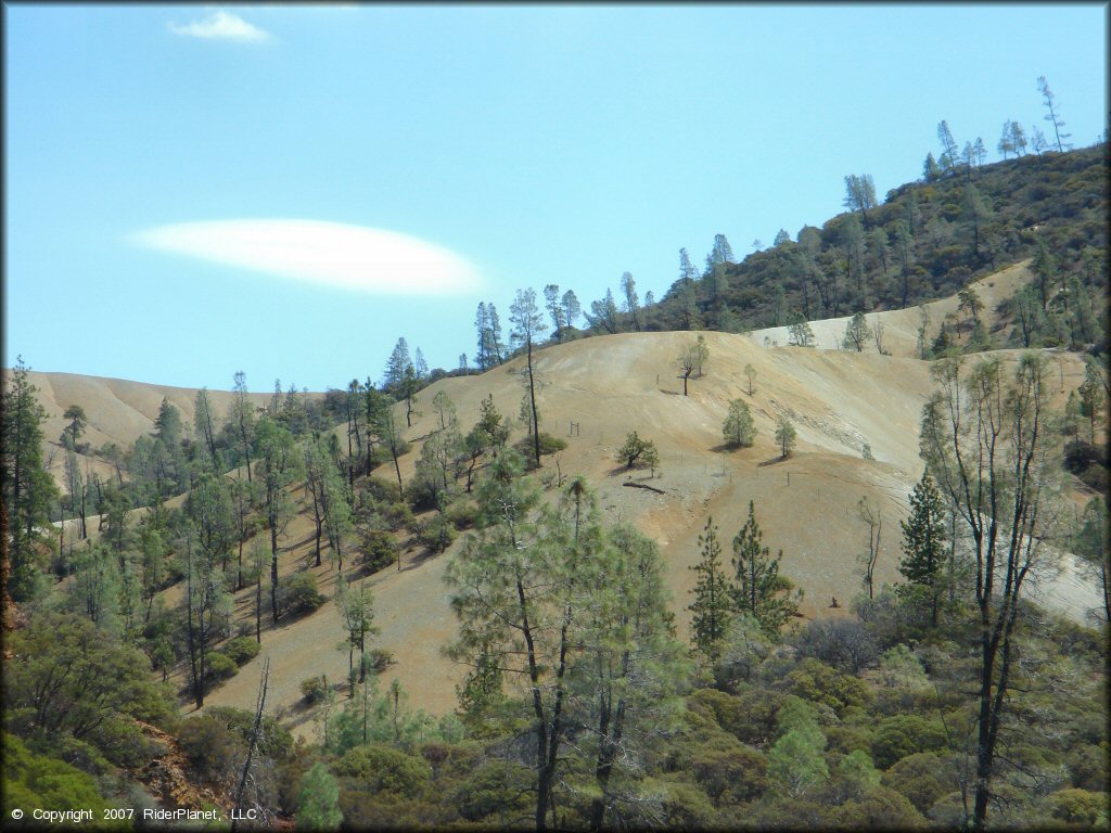 Scenery from Clear Creek Management Area Trail