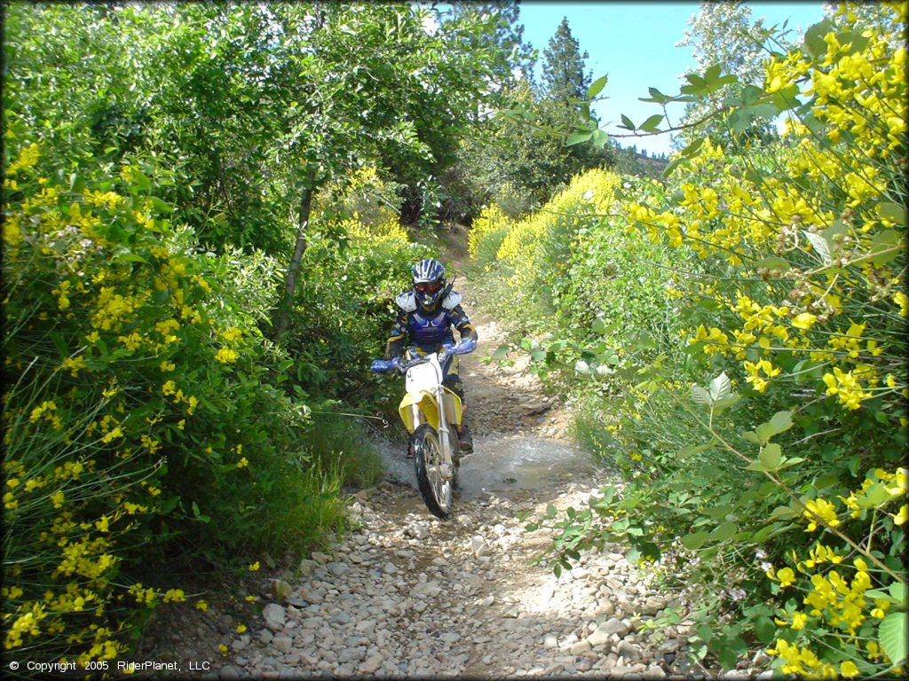 OHV traversing the water at Chappie-Shasta OHV Area Trail