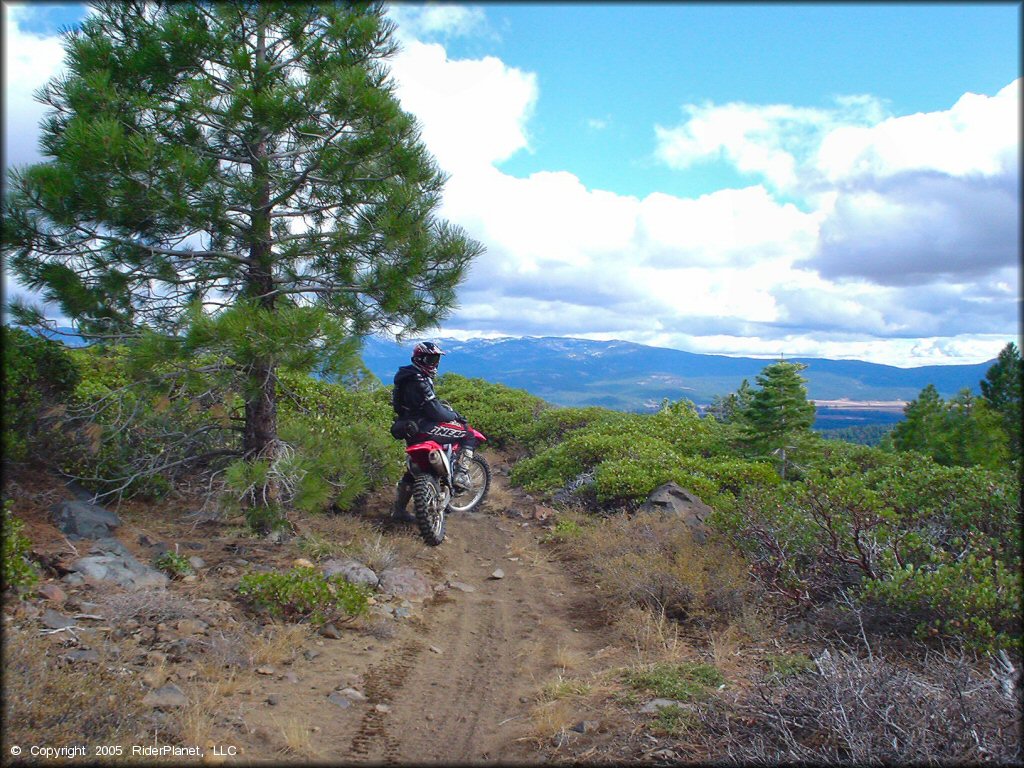 Honda CRF Off-Road Bike at Prosser Hill OHV Area Trail