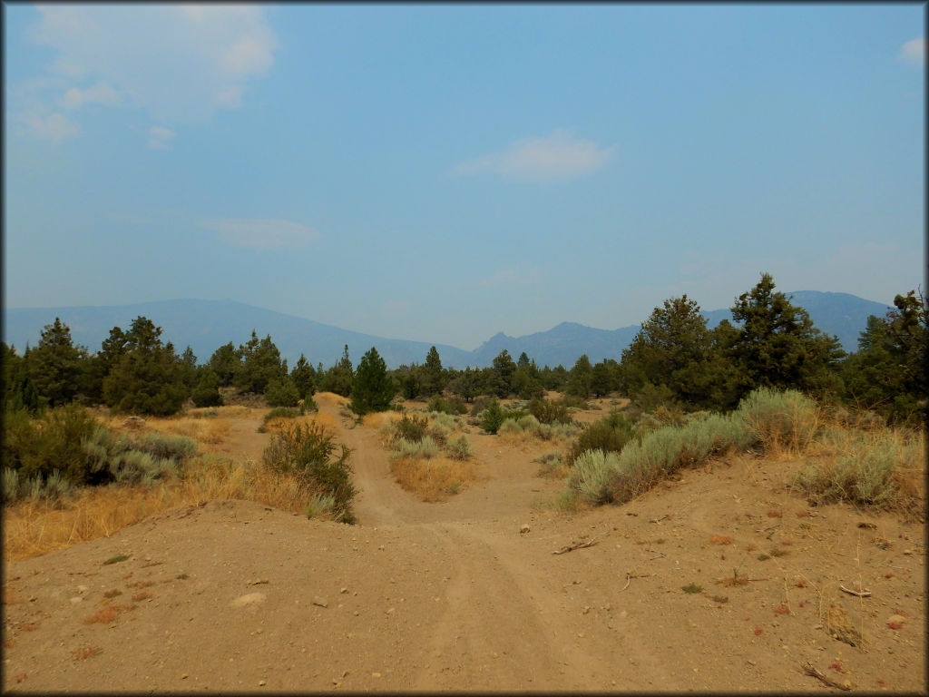 Juniper Flats OHV Area Trail