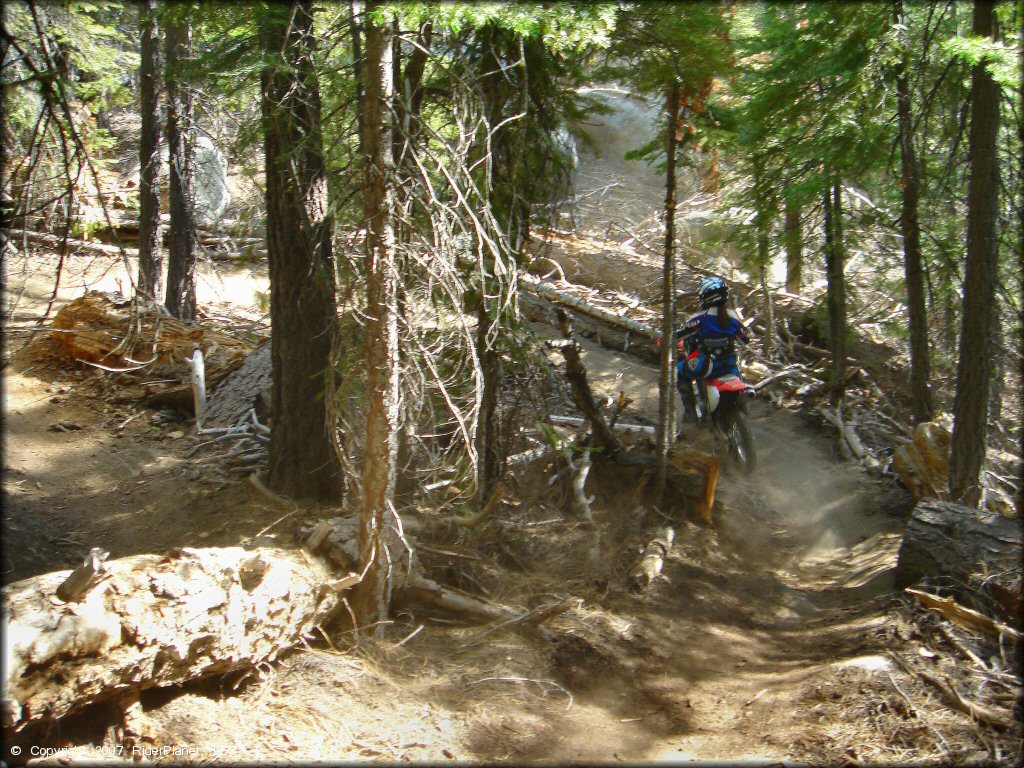 Honda CRF Dirt Bike at Corral OHV Trail