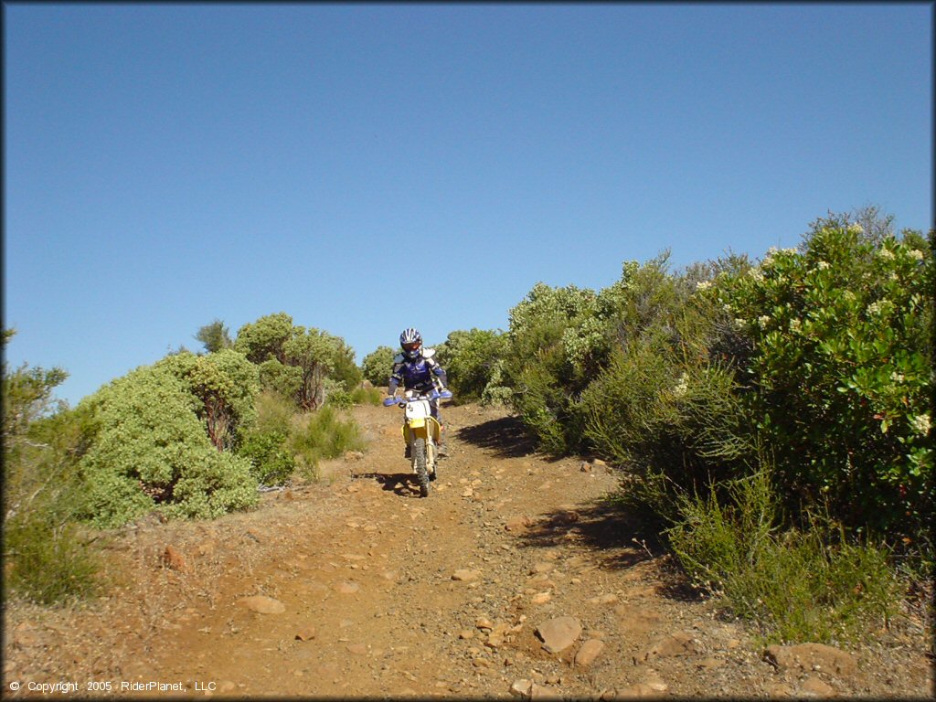 Rider on Suzuki RM-100 dirt bike traveling on rugged 4x4 trail.