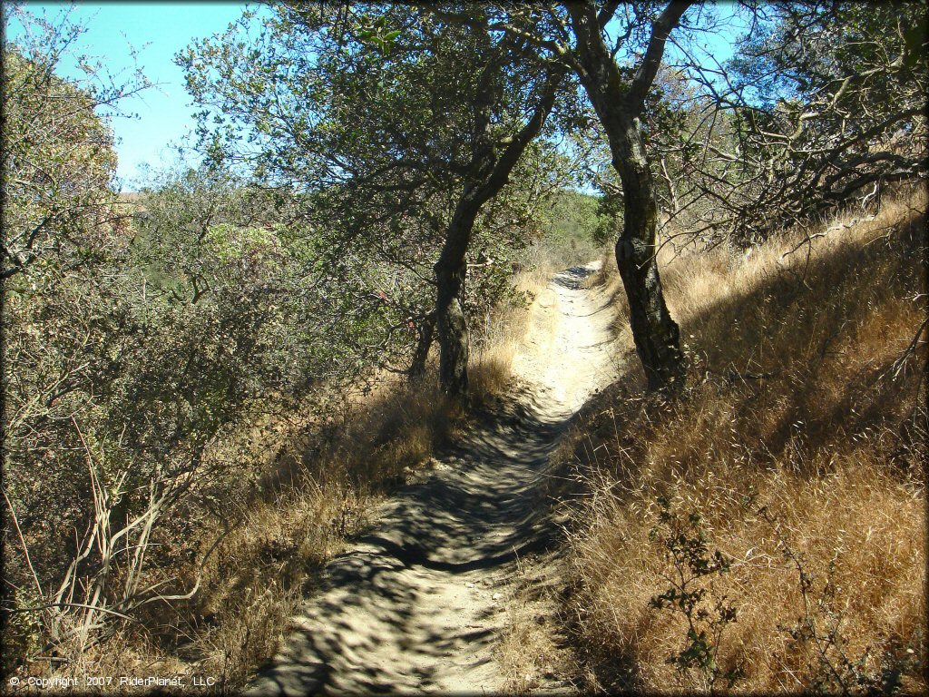 Example of terrain at Santa Clara County Motorcycle Park OHV Area