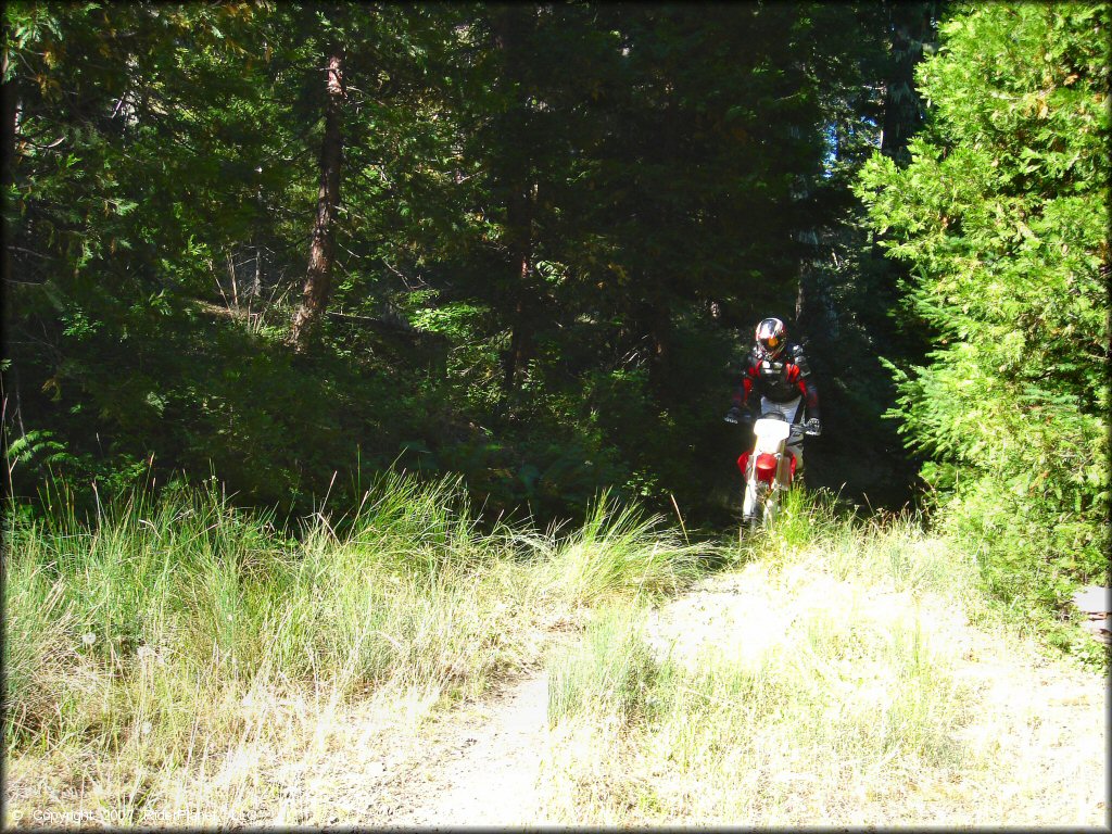 OHV at Pilot Creek OHV Trails