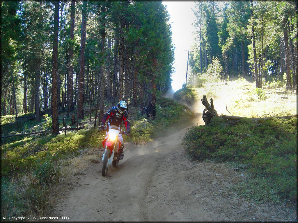 Honda CRF Dirt Bike at Miami Creek OHV Area Trail