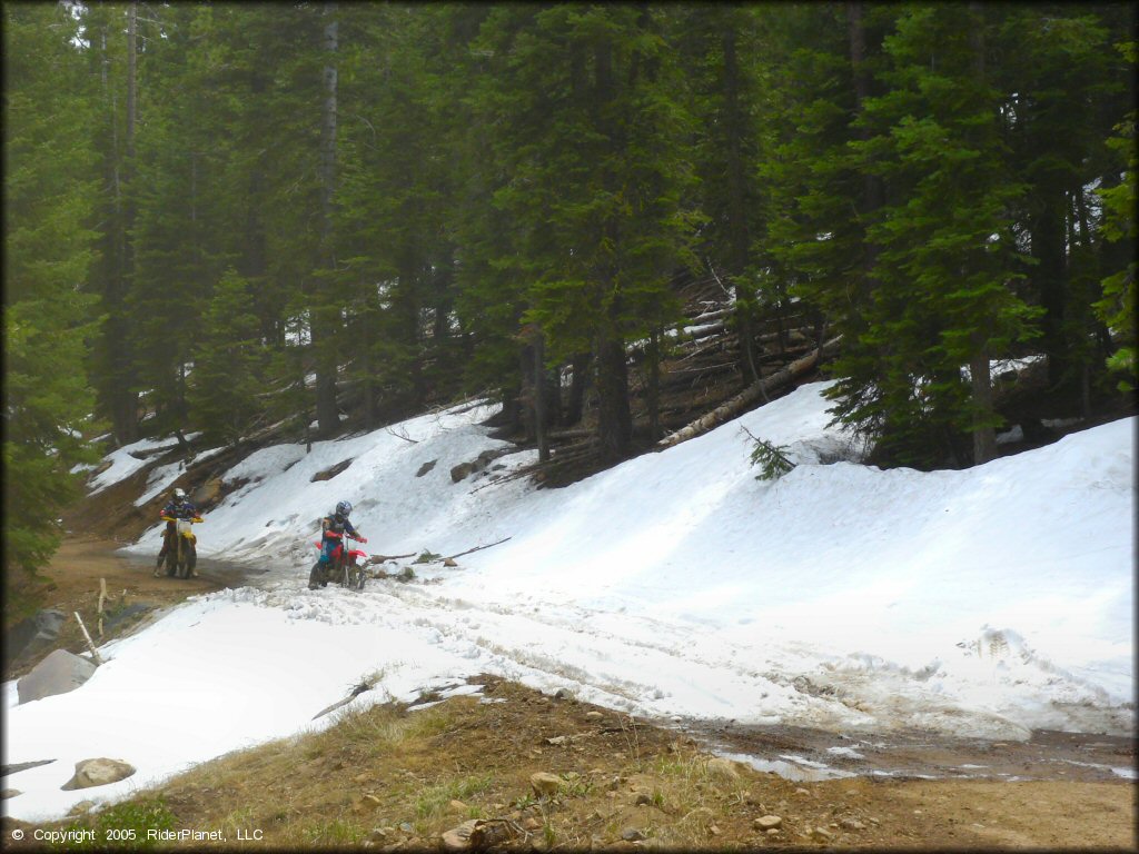 Honda CRF Motorcycle at Verdi Peak OHV Trail