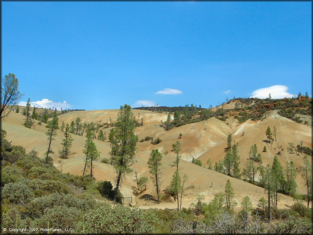 Scenery from Clear Creek Management Area Trail