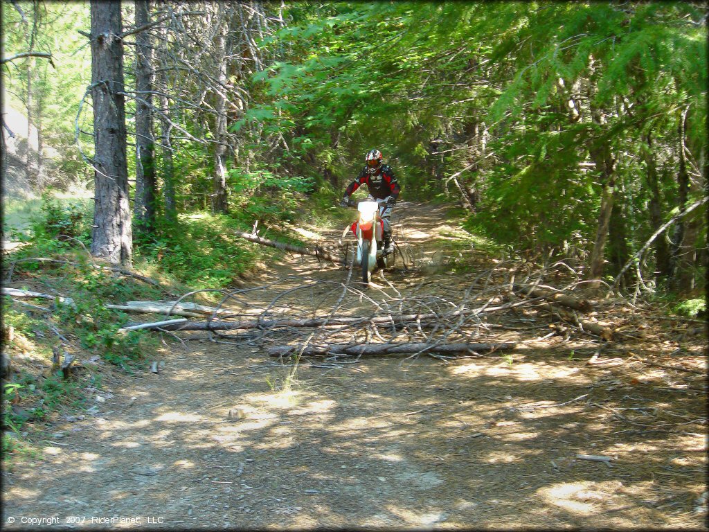 Honda CRF Off-Road Bike at Lubbs Trail