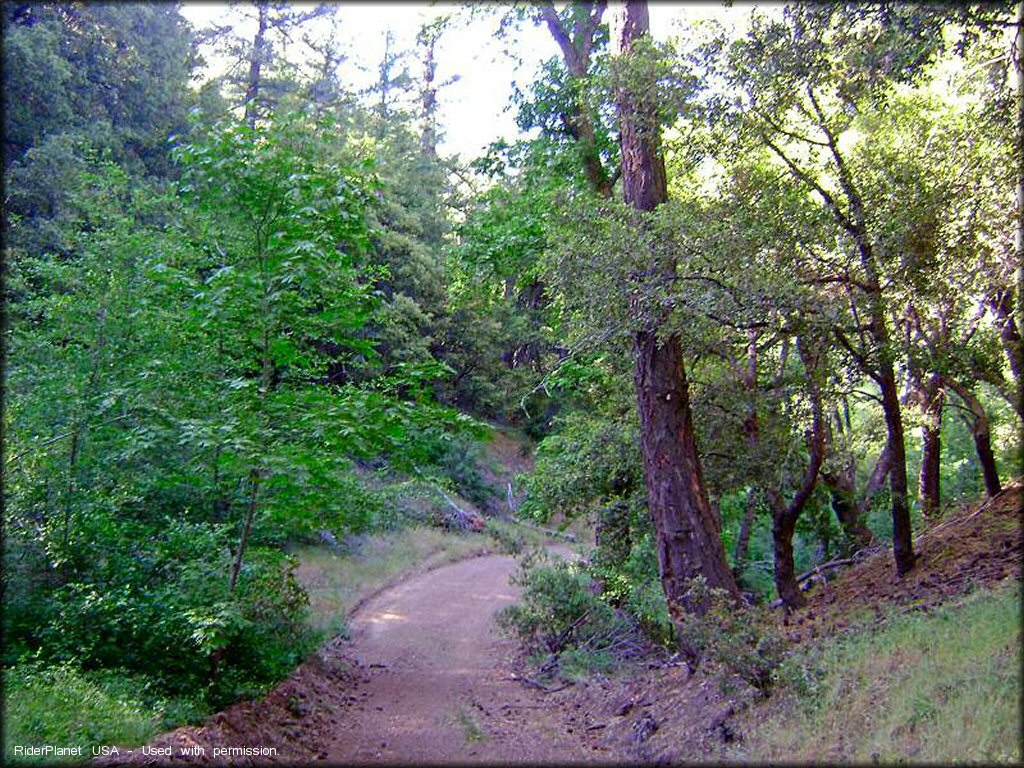 Terrain example at Ortega Trail