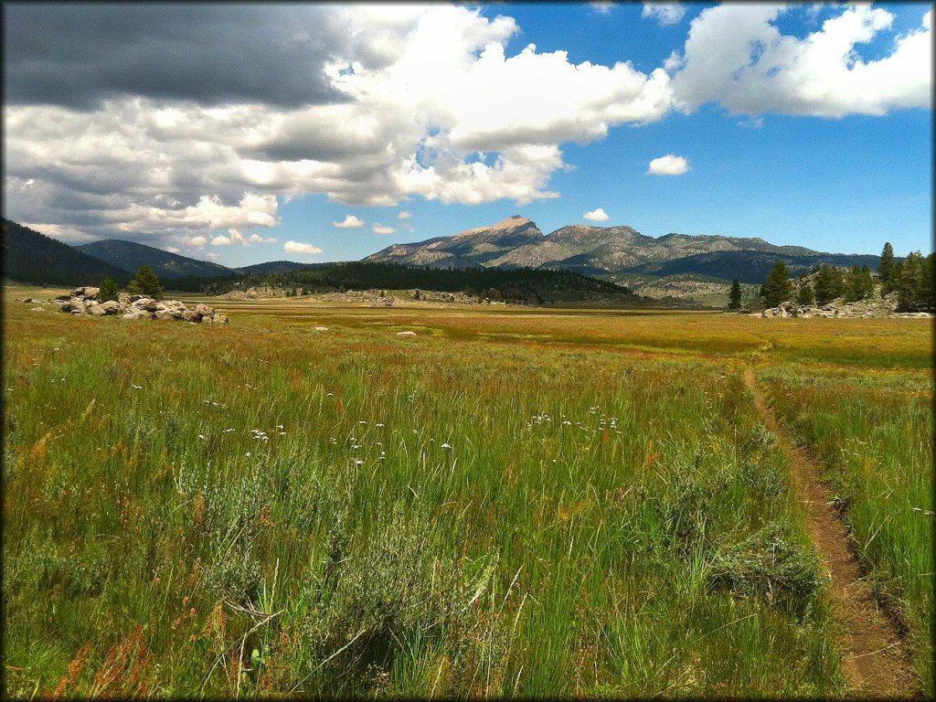 Kennedy Meadows Trail