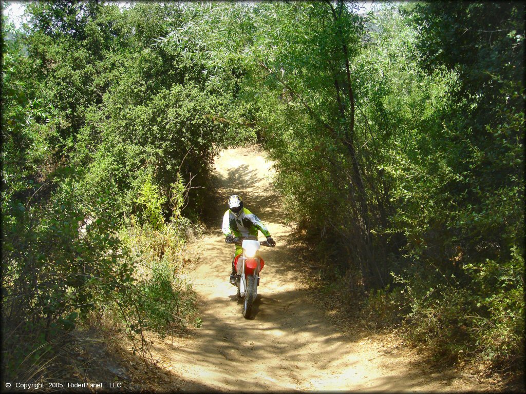 Man wearing Thor motocross gear riding Honda CR250 through ATV trail.