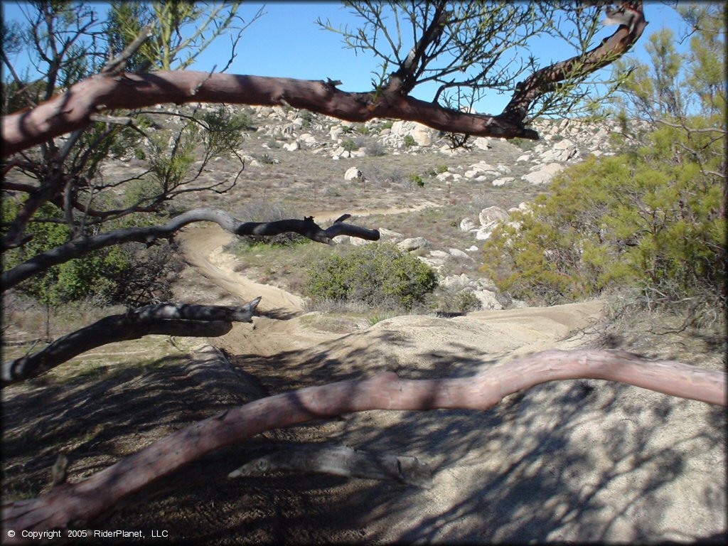 Some terrain at Lark Canyon OHV Area Trail