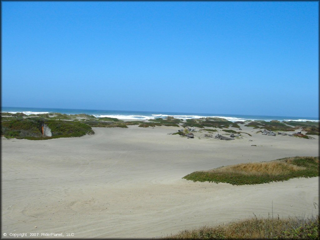 OHV at Samoa Sand Dunes OHV Area