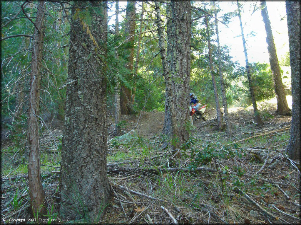 Female rider on a Honda CRF Dirt Bike at Pilot Creek OHV Trails