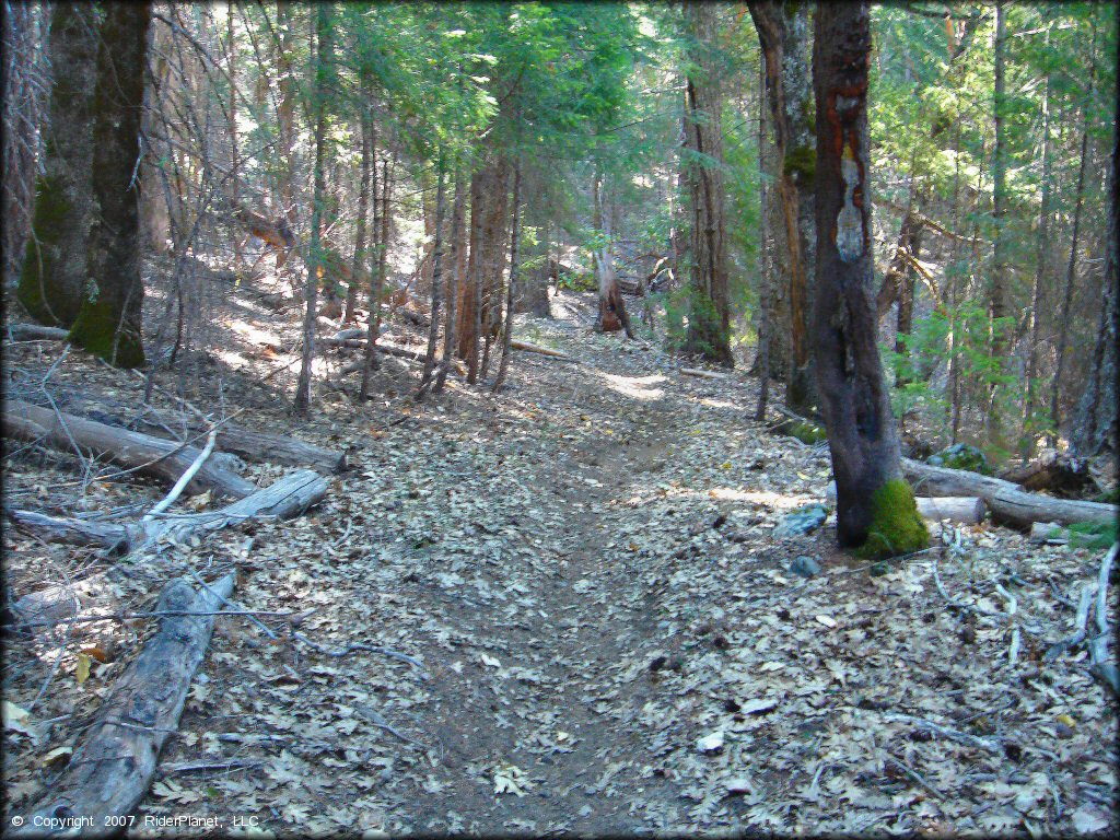 Pilot Creek OHV Trails