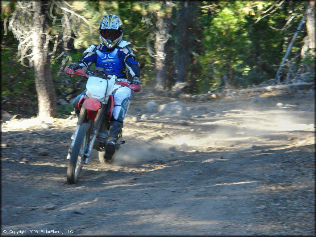 Honda CRF Motorcycle at Black Springs OHV Network Trail