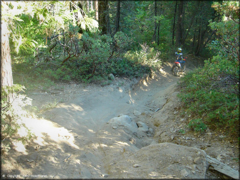 Honda CRF Motorcycle at Miami Creek OHV Area Trail