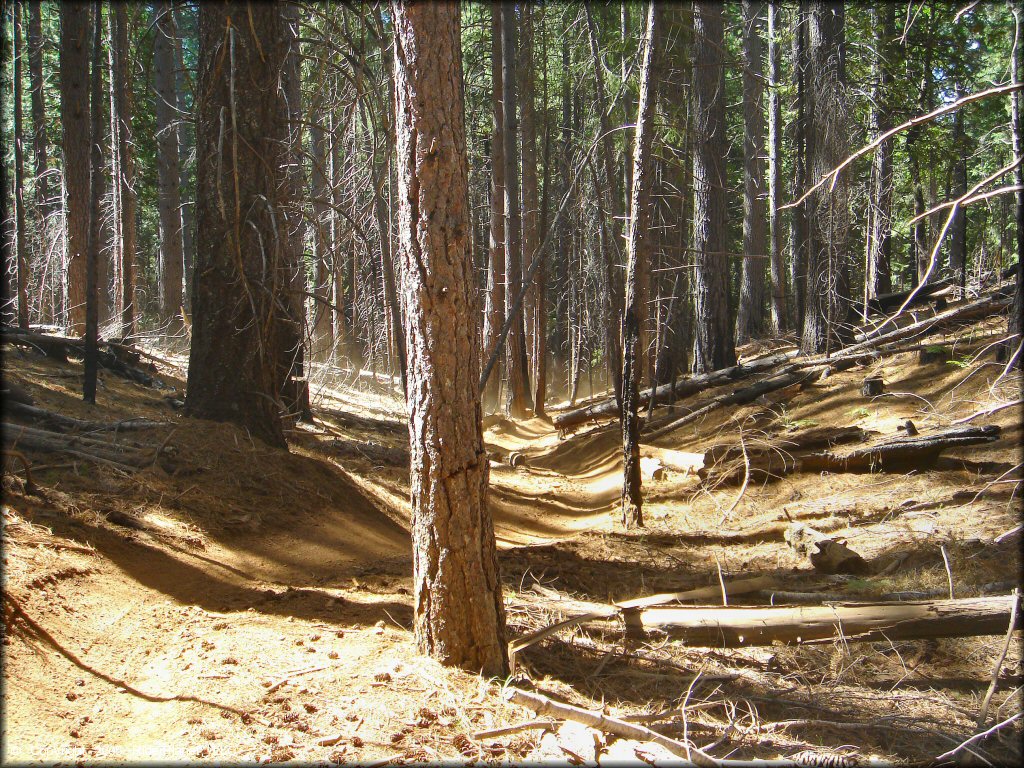 Some terrain at Elkins Flat OHV Routes Trail