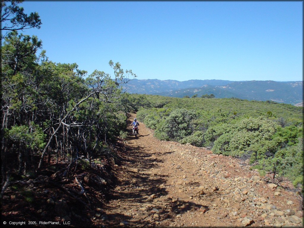 Honda CRF Motorbike at South Cow Mountain Trail