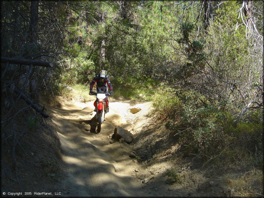 Honda CRF Dirtbike at Miami Creek OHV Area Trail