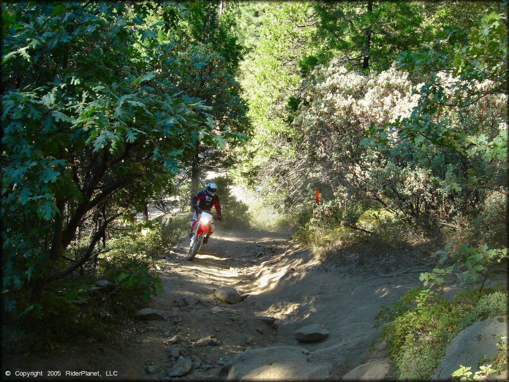 Honda CRF Dirt Bike at Miami Creek OHV Area Trail