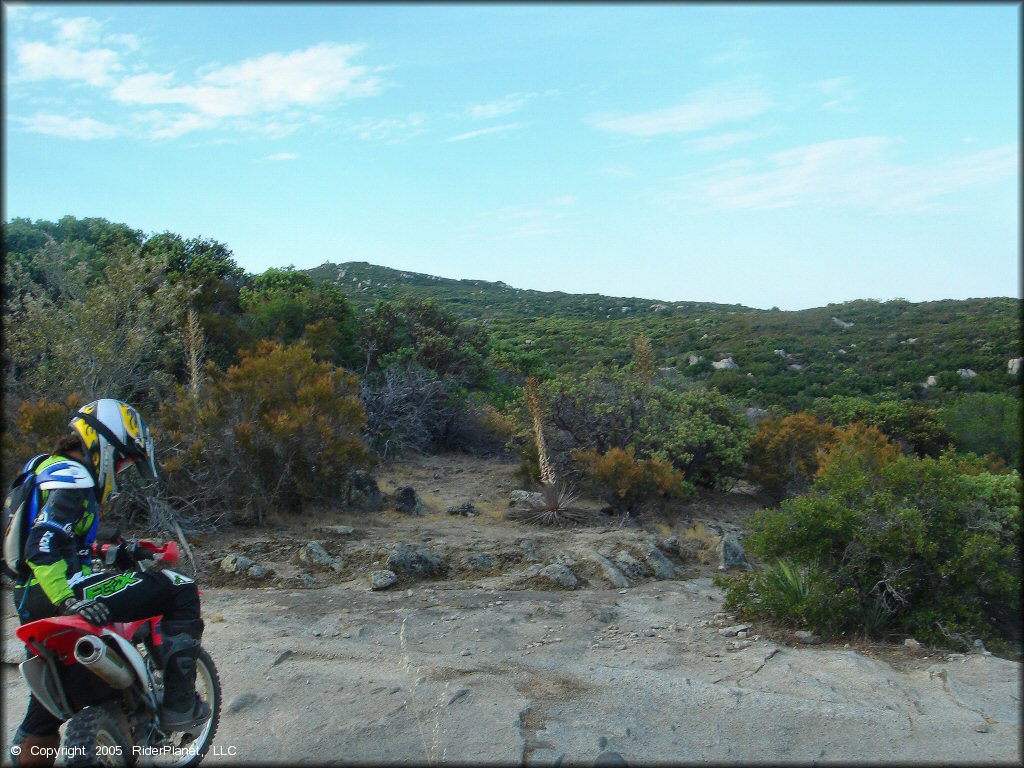 Woman wearing black and green Fox motocross gear with CamelBack sitting on Honda dirt bike.