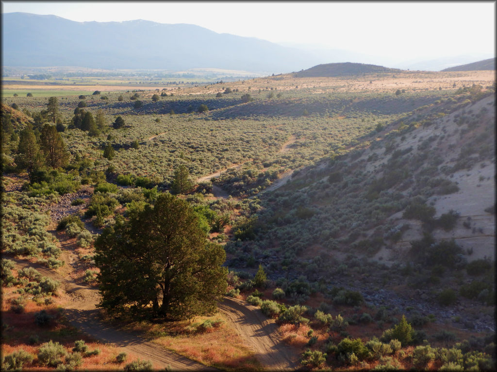 Rice Canyon OHV Area Trail