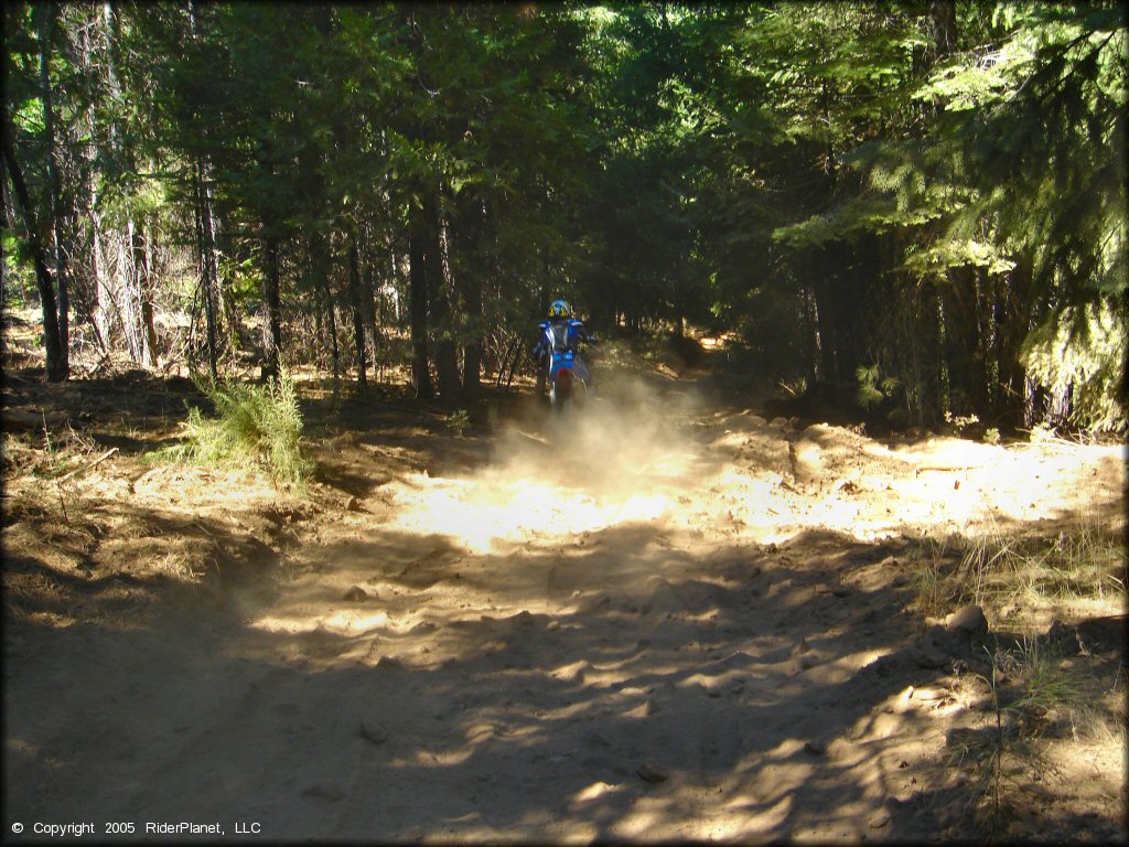 Honda CRF Dirt Bike at Gold Note Trails