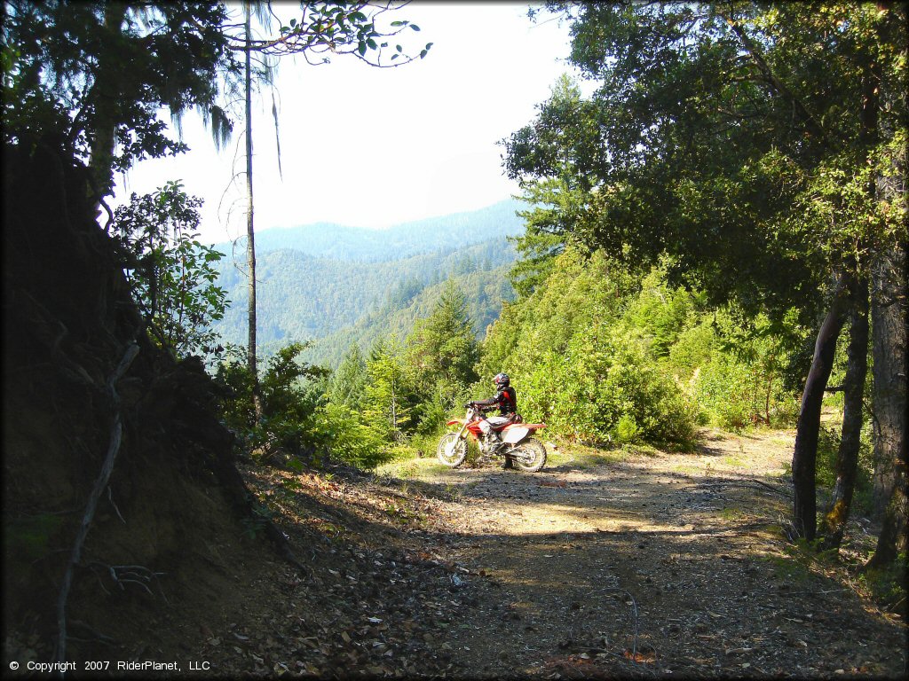 Honda CRF Motorbike at Lubbs Trail