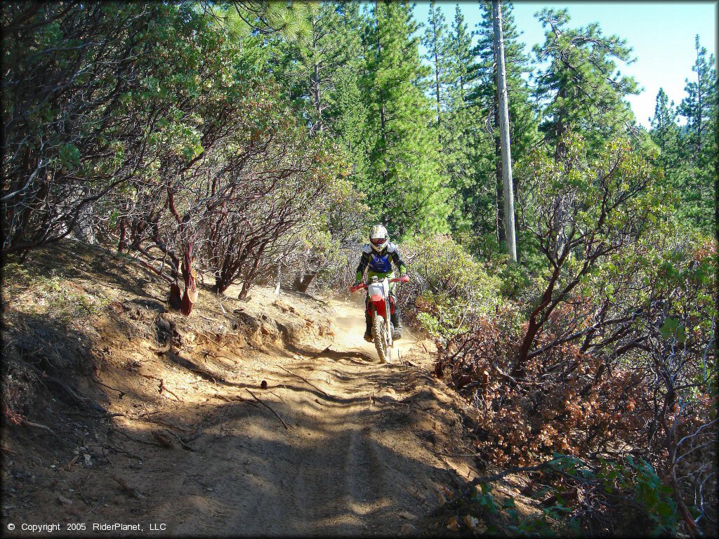 Honda CRF Motorcycle at Interface Recreation Trails