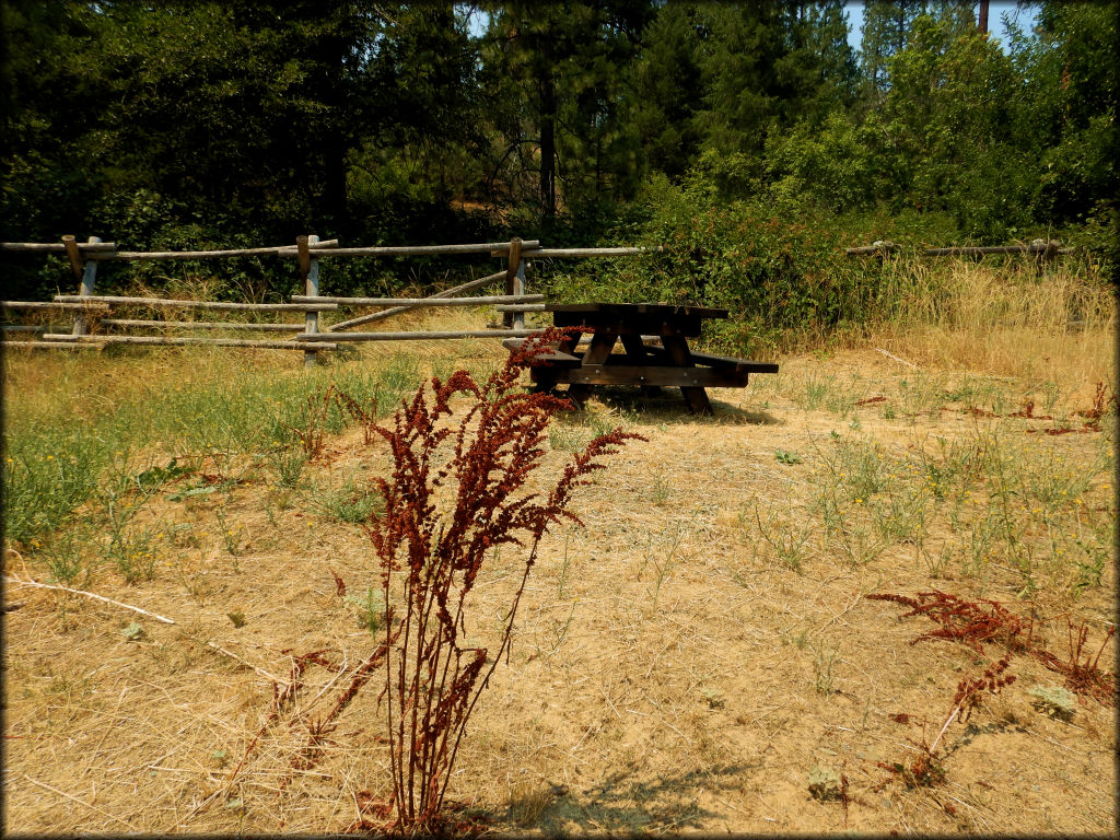 Humbug OHV Area Trail