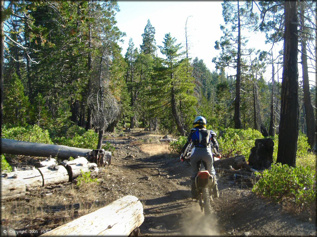 Honda CRF Motorcycle at Black Springs OHV Network Trail