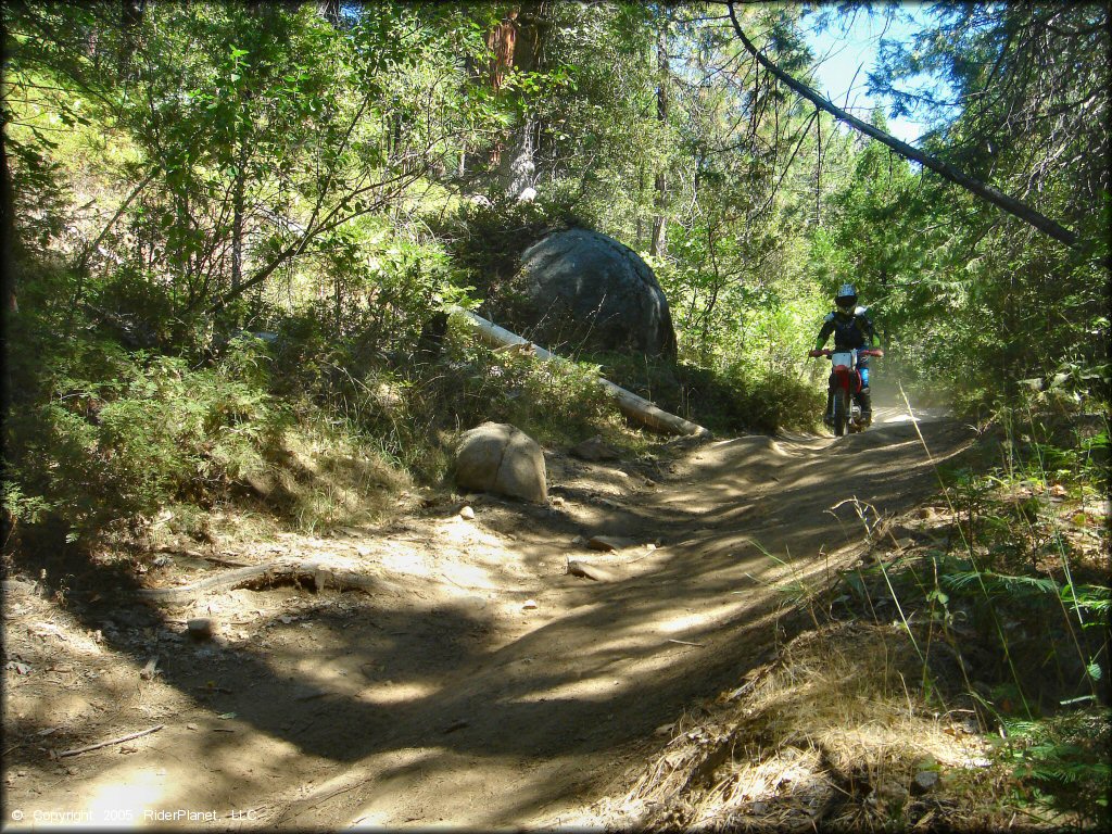 Honda CRF Trail Bike at Miami Creek OHV Area Trail