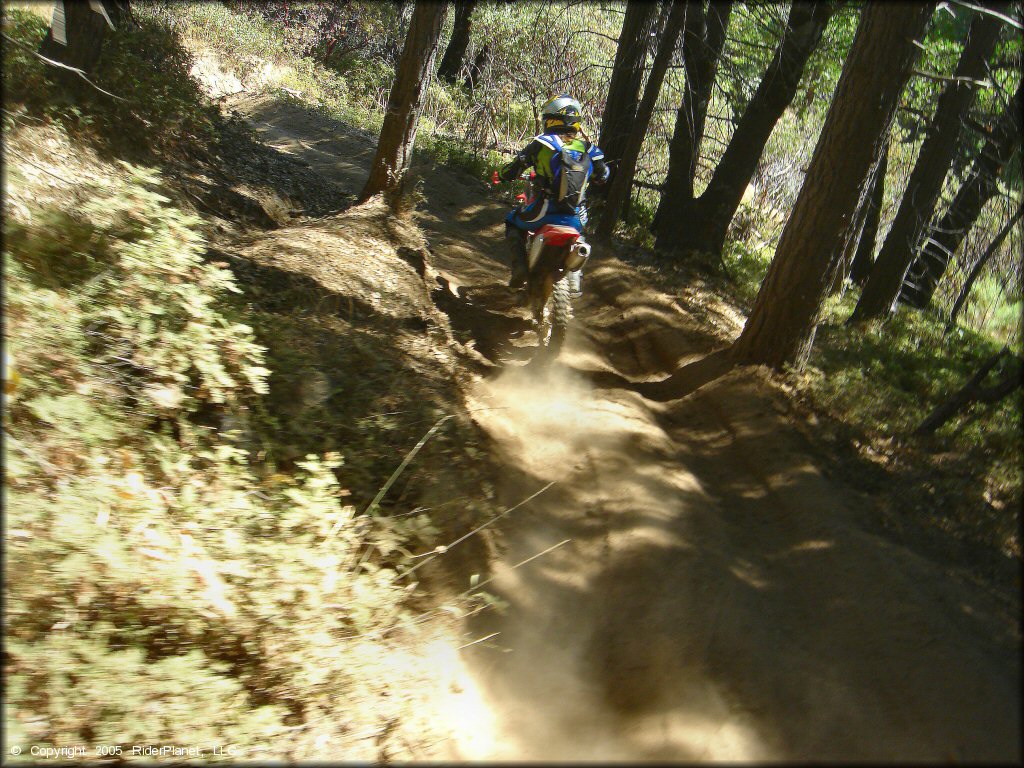 Honda CRF Motorcycle at Miami Creek OHV Area Trail