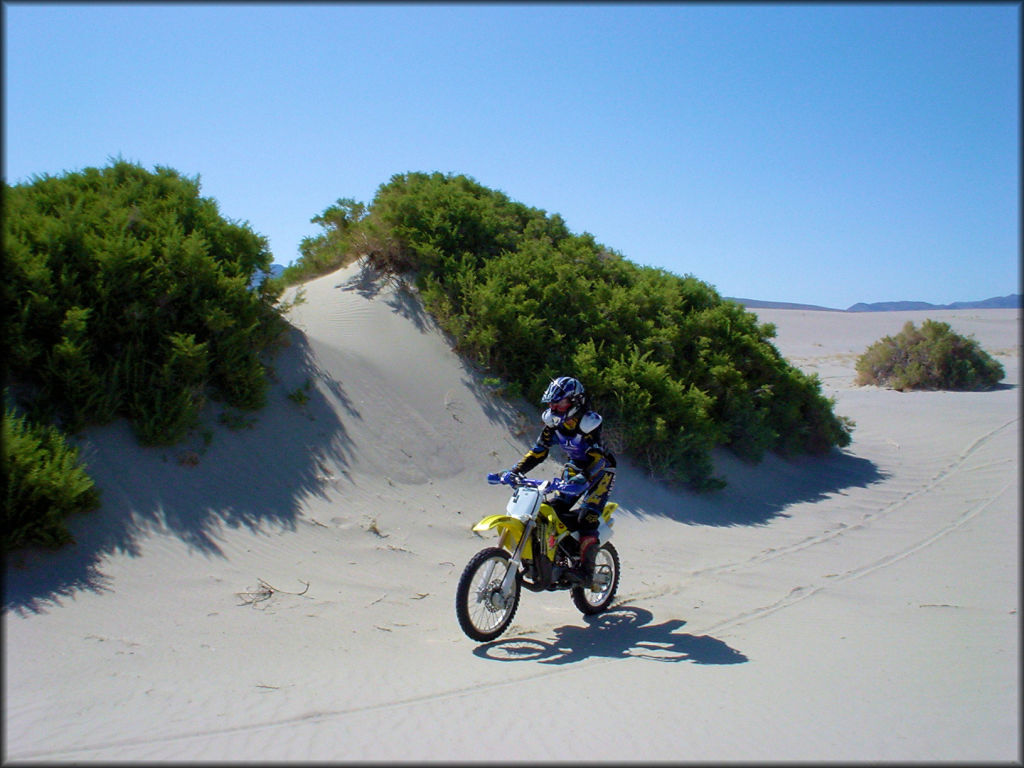 OHV at Olancha Dunes OHV Area