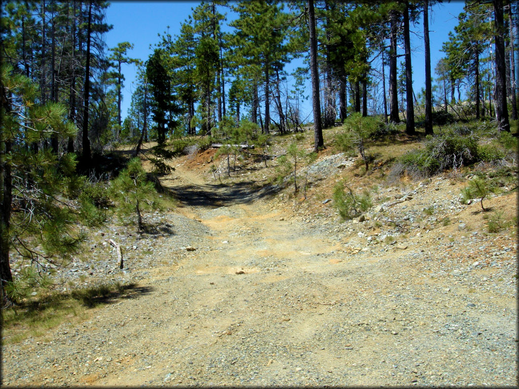 Elk Camp Ridge Trail