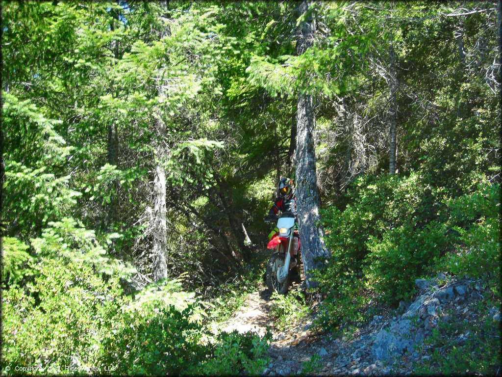 Girl riding a Honda CRF Motorbike at High Dome Trail