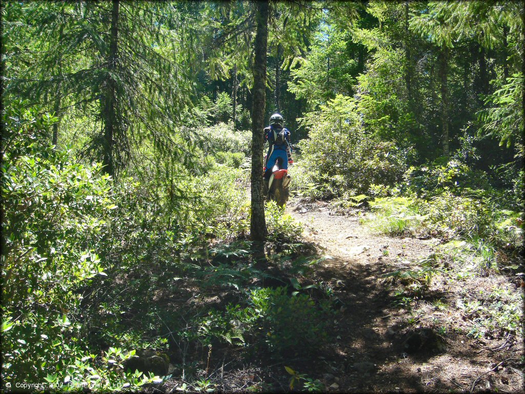 Female rider on a Honda CRF Dirt Bike at High Dome Trail