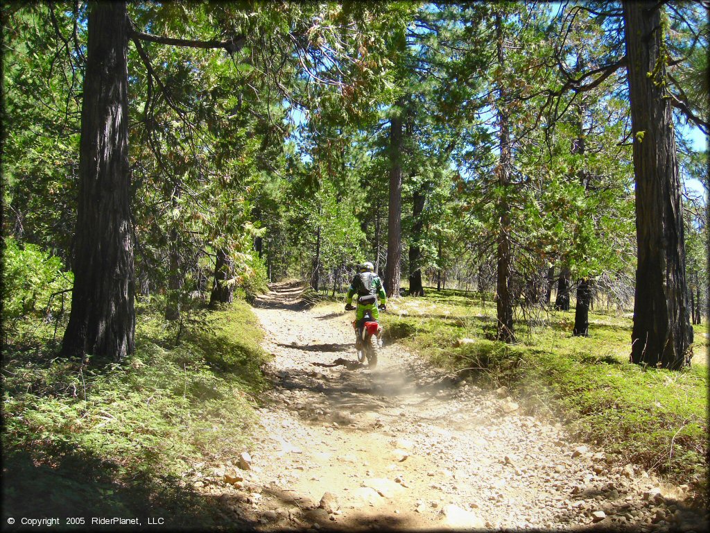 Honda CRF Dirt Bike at Gold Note Trails