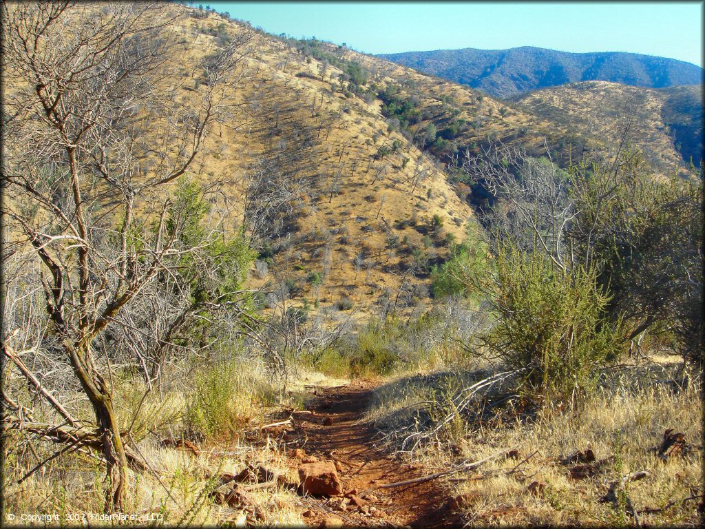 Frank Raines OHV Park Trail